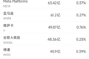 两人合盘6月13日美股成交额前20：特斯拉本周上涨逾10%，美国将为自动驾驶出租车开绿灯