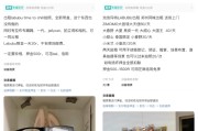 两人合盘闲鱼：LABUBU搜索量环比上涨1000%，供不应求下现租赁新形式