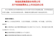 两人合盘600387，即将退市，又被证监会立案
