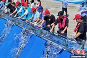 两人合盘2025年全国水生生物同步增殖放流活动在福建举行