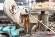 两人合盘小蚕虫变身“产业龙”，广西这座小城如何实现“破茧重生”？
