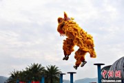 两人合盘（文化中国行）壮乡狮舞闯南洋：脚踏“云桩” 饮誉海内外